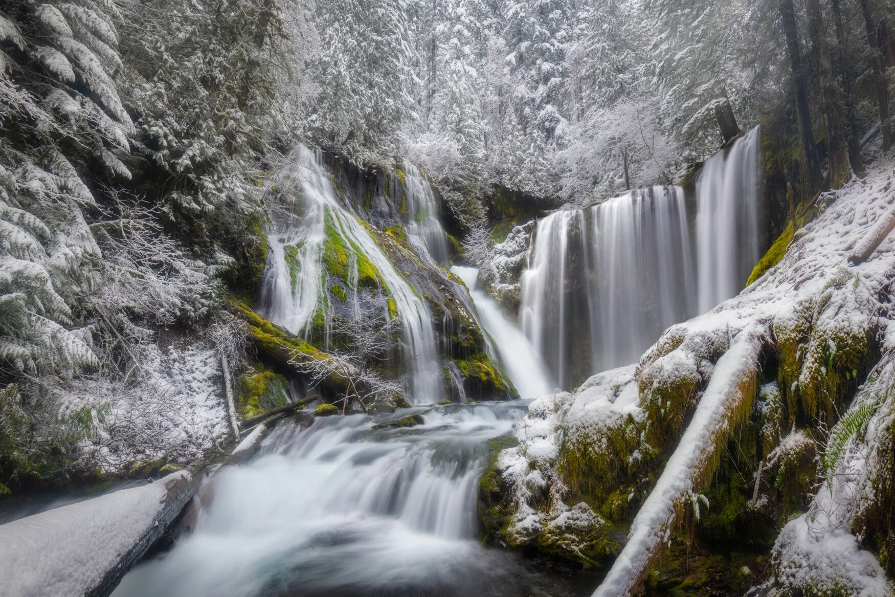 Snowglobe.1750px.jpg