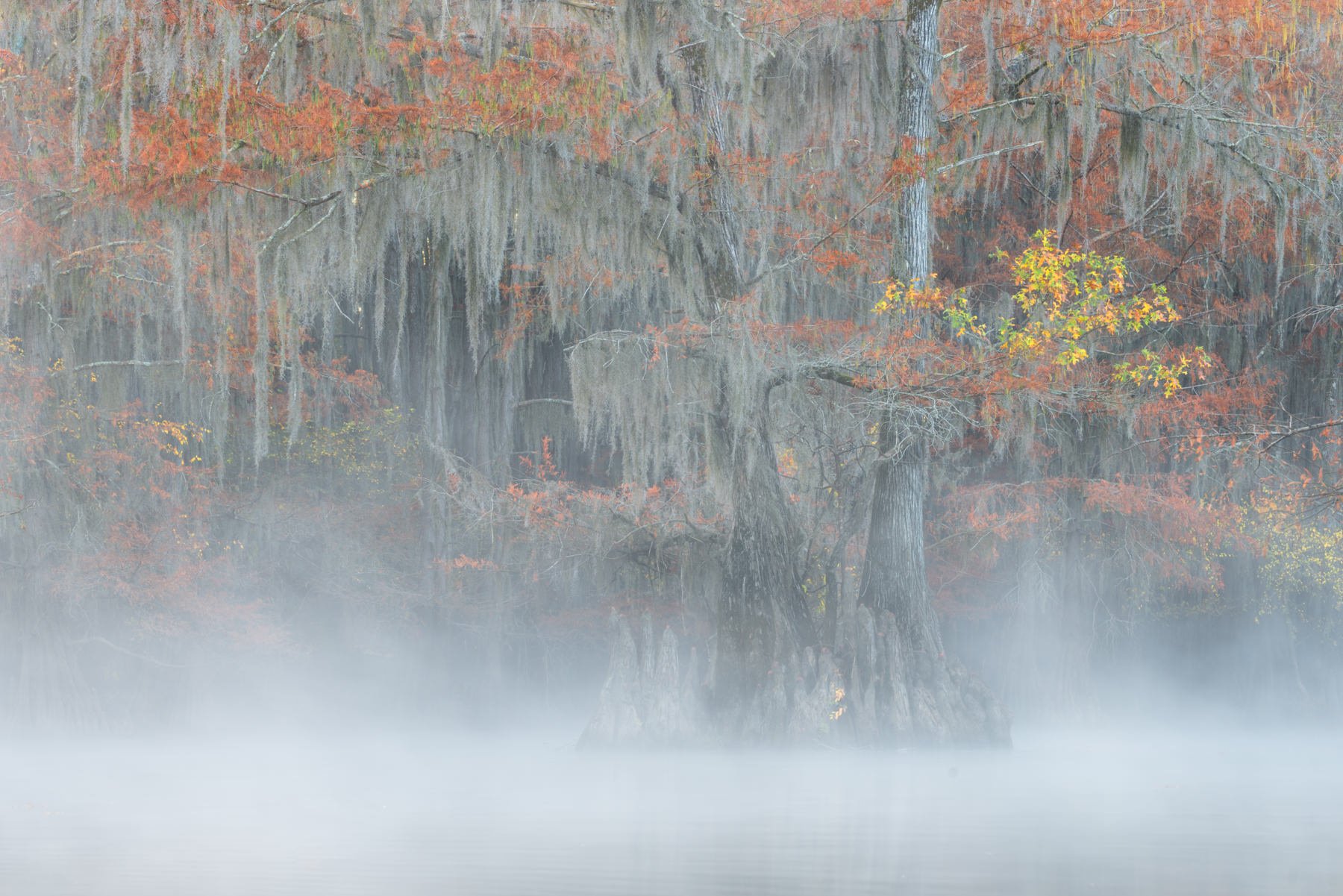 Bayou2021.1800px-1.jpg