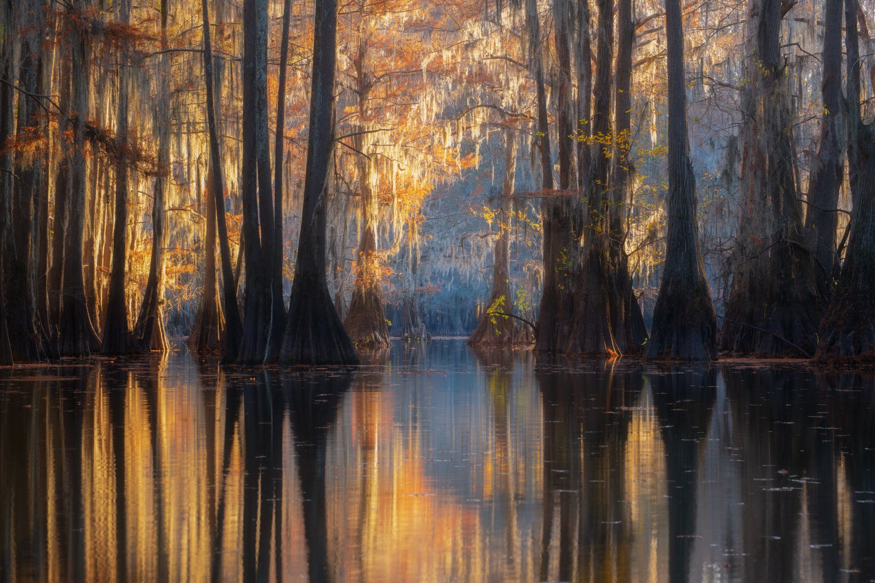 Bayou2021.1800px-3-2.jpg