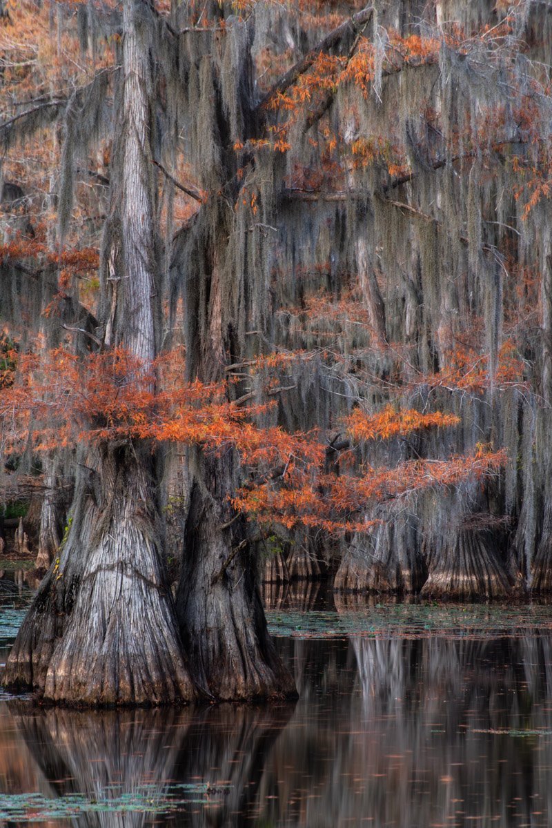 Bayou2022.Web.1200px-30.jpg