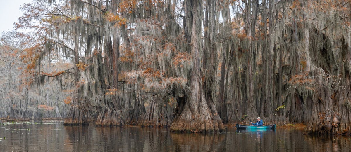 Bayou2022.Web.1200px.jpg