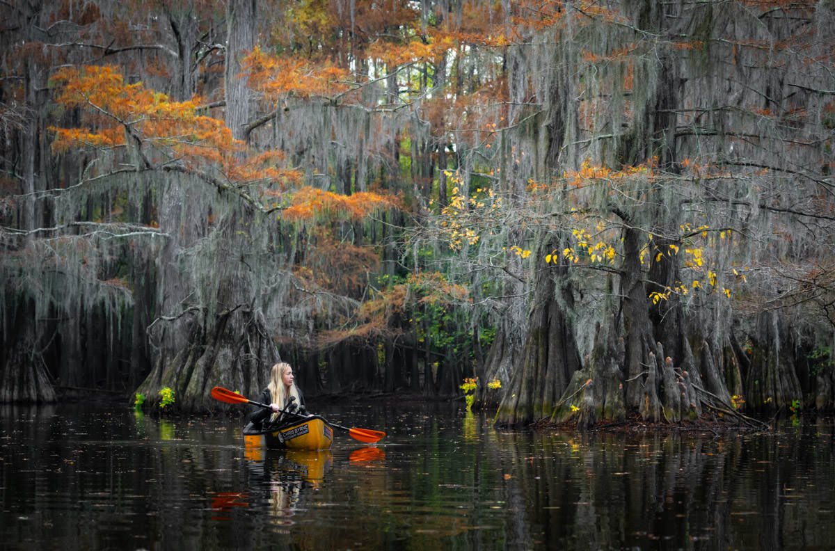 Bayou2022.Web.1200px-4.jpg