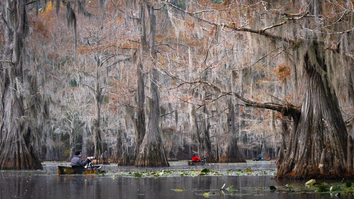 Bayou2022.Web.1200px-7.jpg