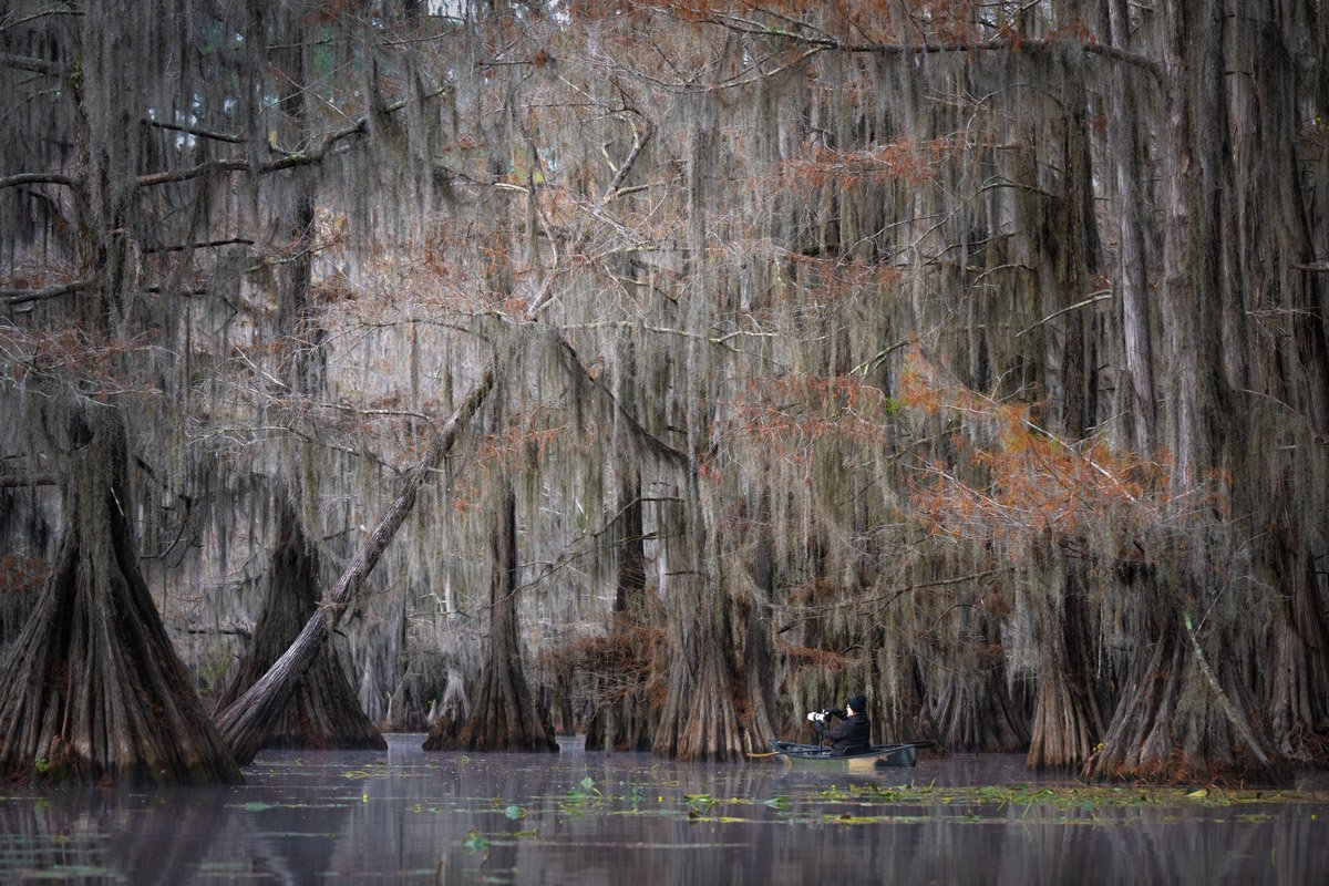 Bayou2022.Web.1200px-8.jpg