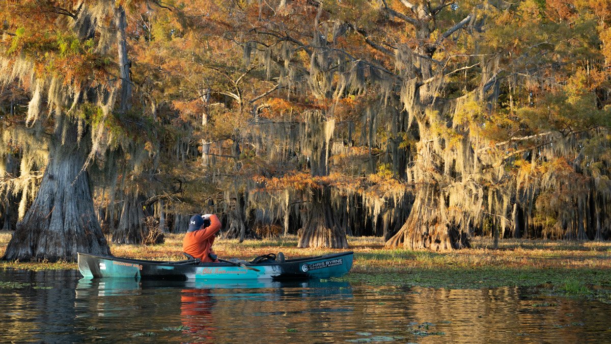 Bayou2022.Web.1200px-16.jpg