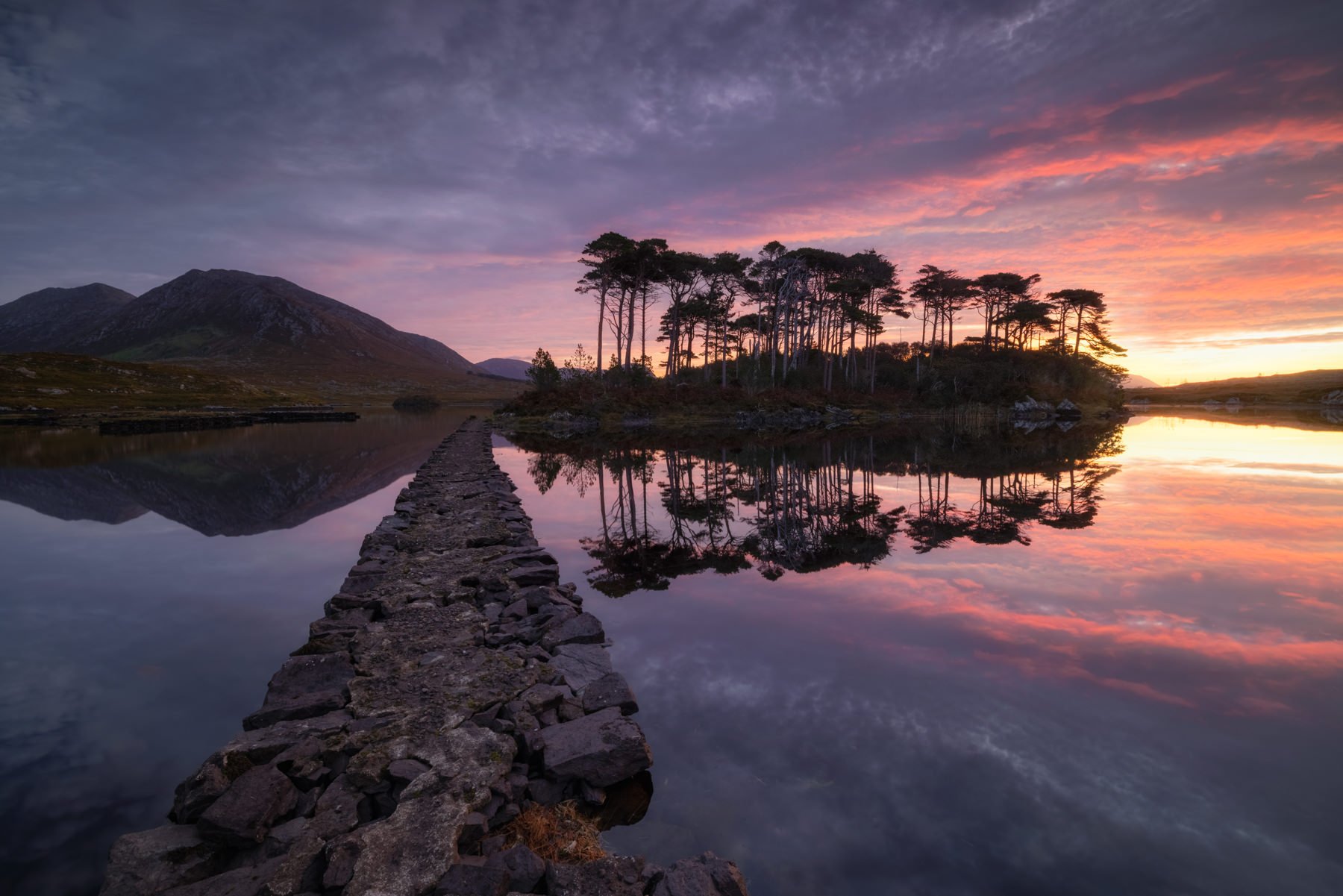 Ireland.Workshop.1800px-33.jpg