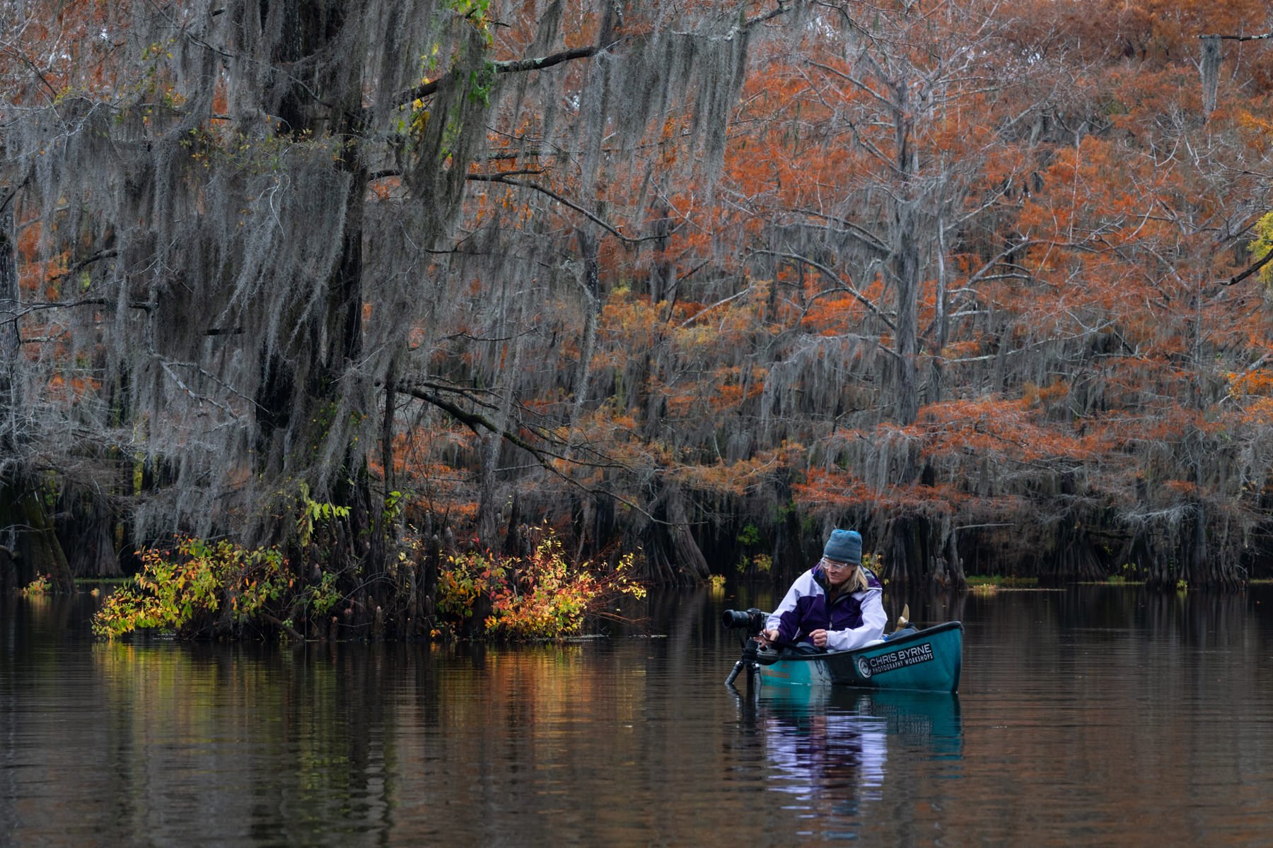 Bayou.2023.1800px-30-8.jpg