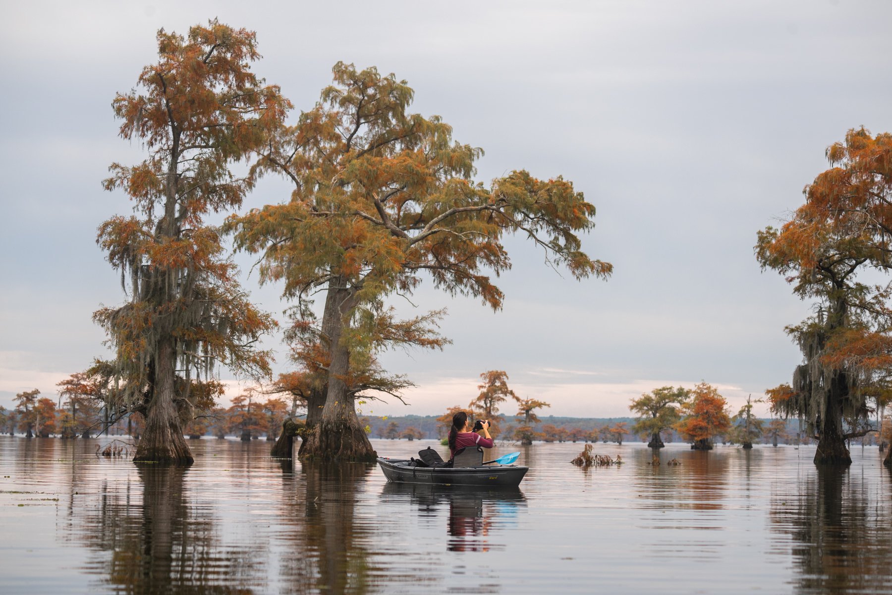 Bayou.2023.1800px-30-10.jpg