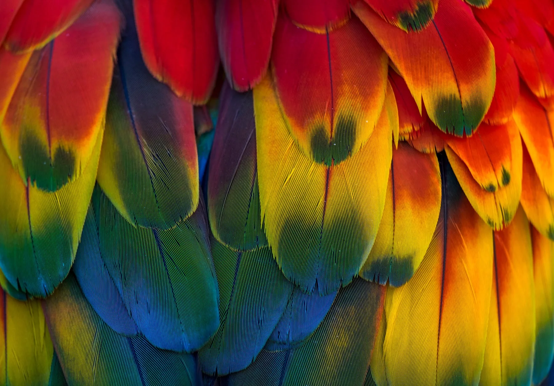 CostaRica.1800px-10.jpg