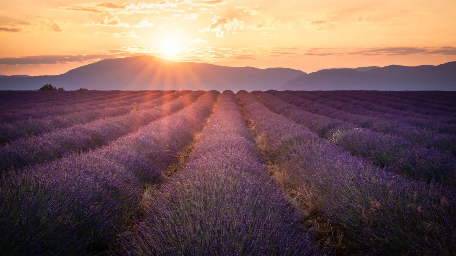 Provence.Workshop1500px-2.jpg