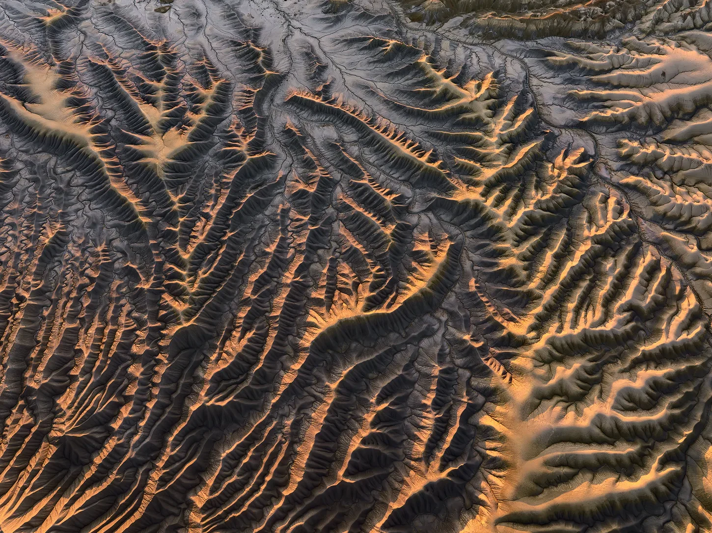 DJI_20250723063710_0933_D-Enhanced-NR-sharpened-2.webp