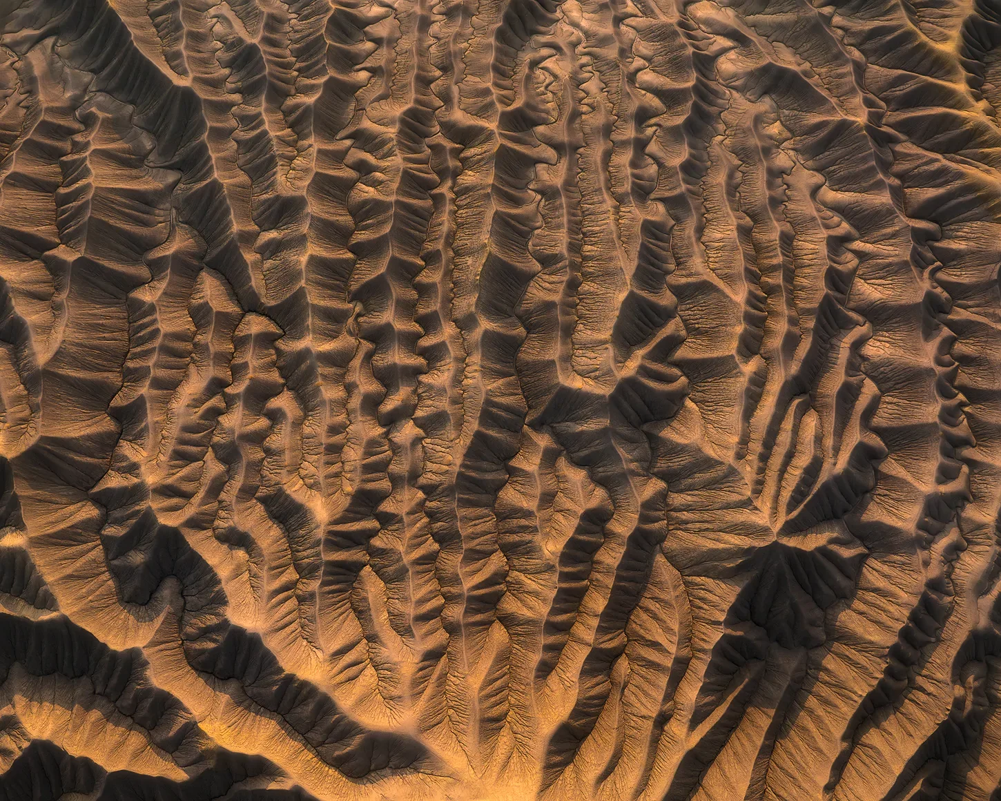 DJI_20250724072028_0297_D-Enhanced-NR1-sharpened-2.webp