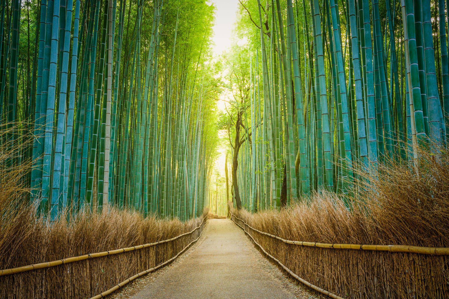 Japan.Workshop.1800px-2.jpg