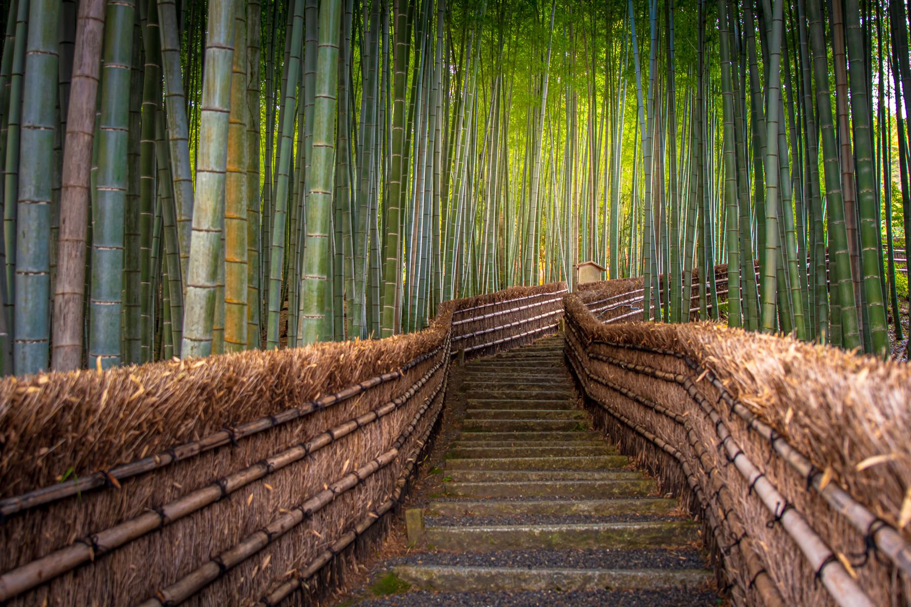 Japan.Workshop.1800px-11.jpg