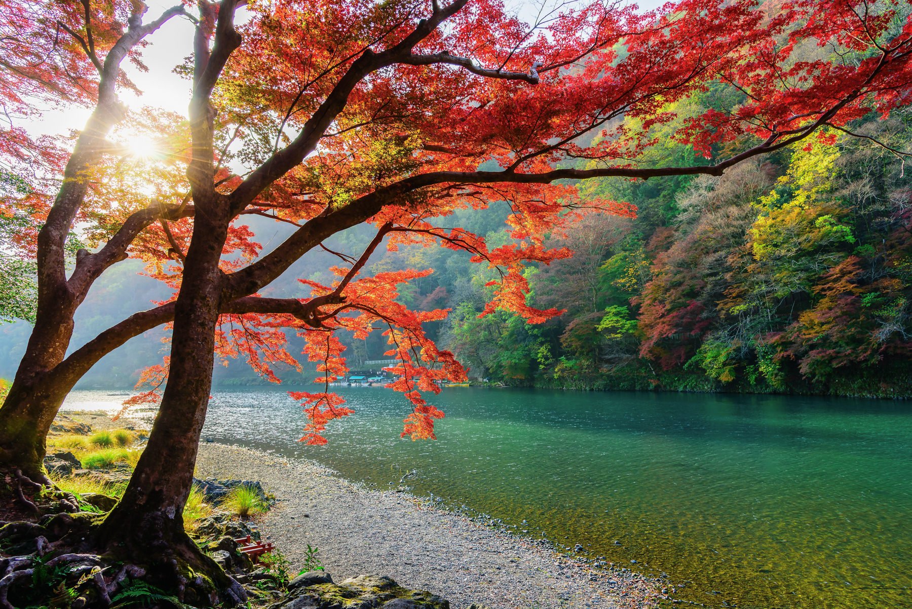 Japan.Workshop.1800px-12.jpg