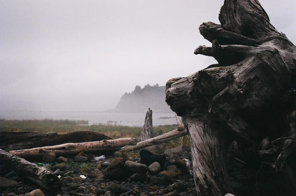 Fog-at-Cape-Meares-1024x678.jpg