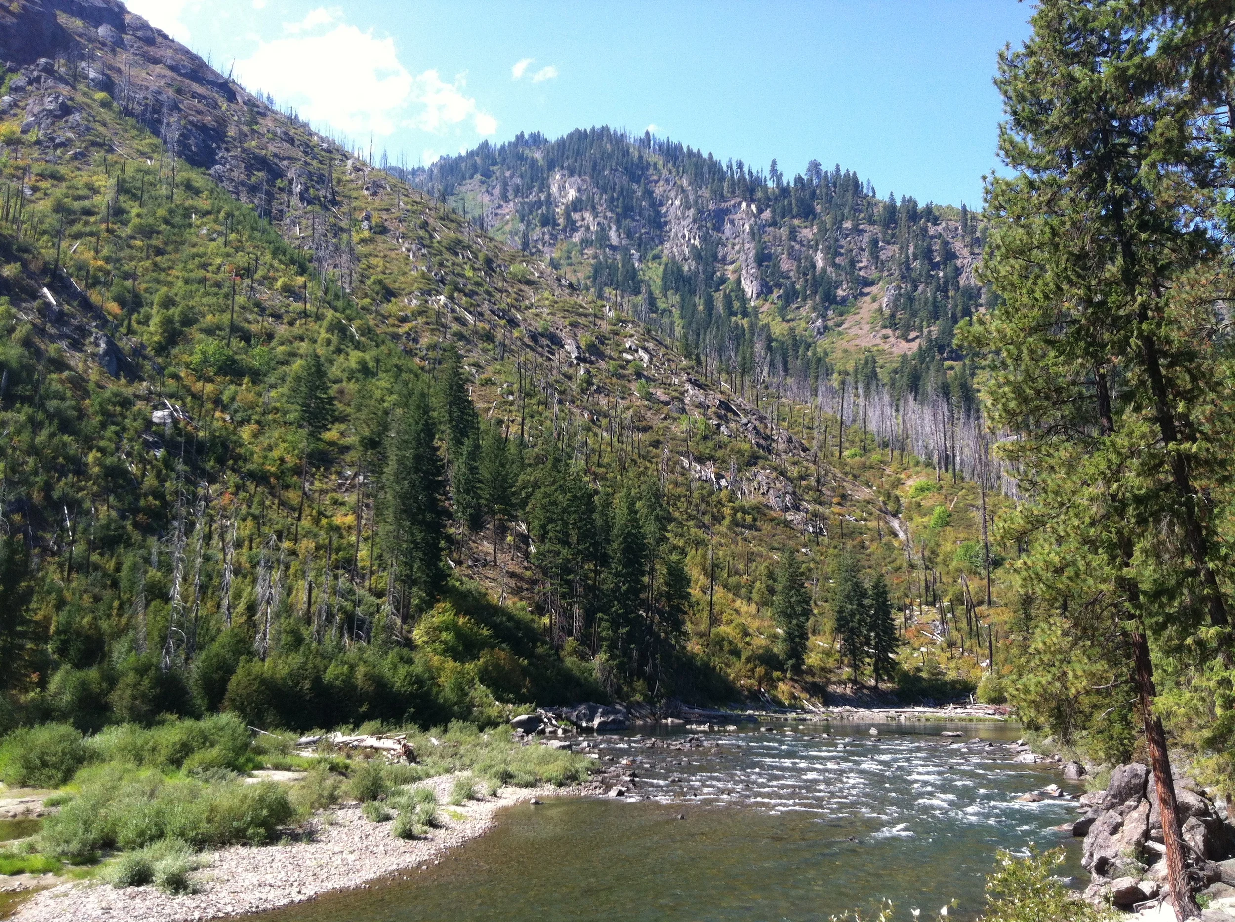 A wayside access point to the alpine Wenatchee River along U.S. Route 2.