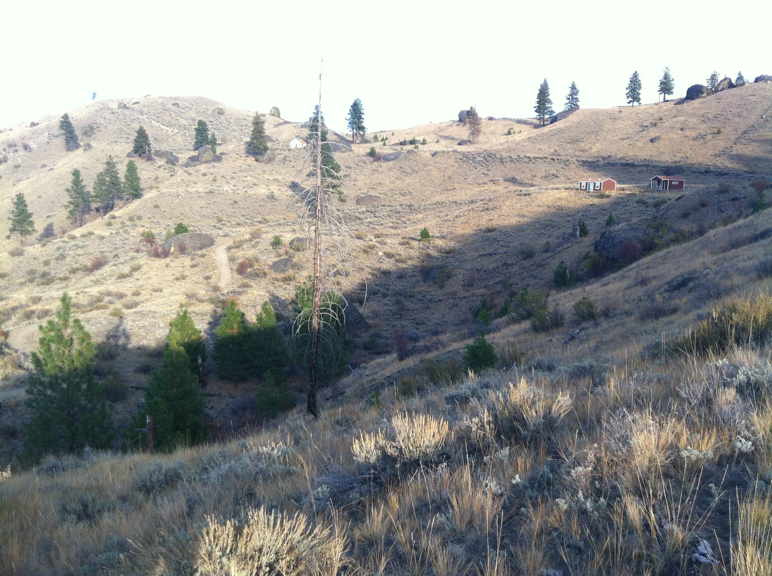 Our mountain. Well, shared with a few others... The Whitbecks are just to the left of top center, and the neighboring plot with the two brown cabins is on the right. Road J snakes down between them, and the driveway splitting off from Road J and leading halfway through Lot 55 can be seen in the middle, about 1/3 from the left.