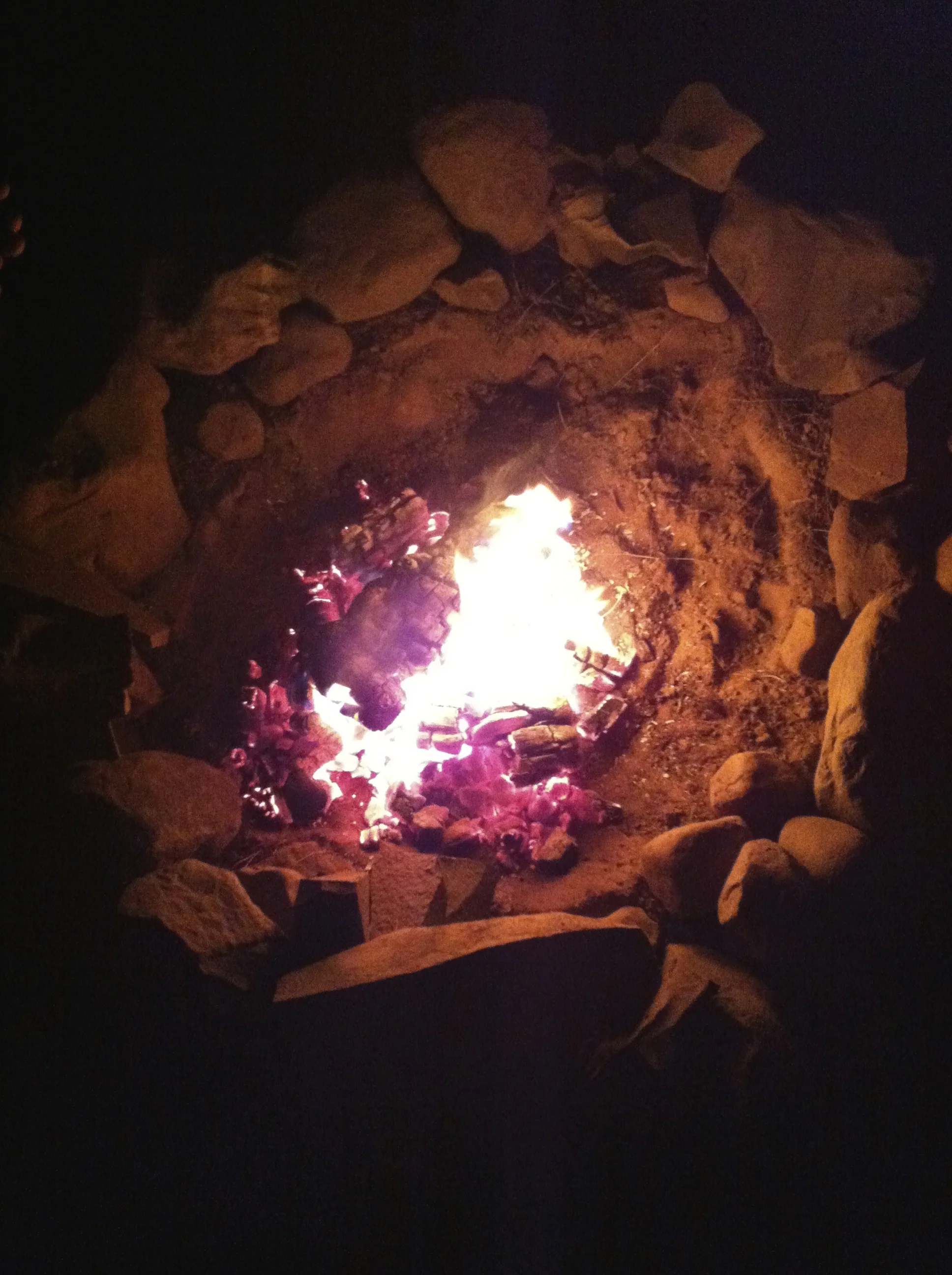 The inaugural campfire.
