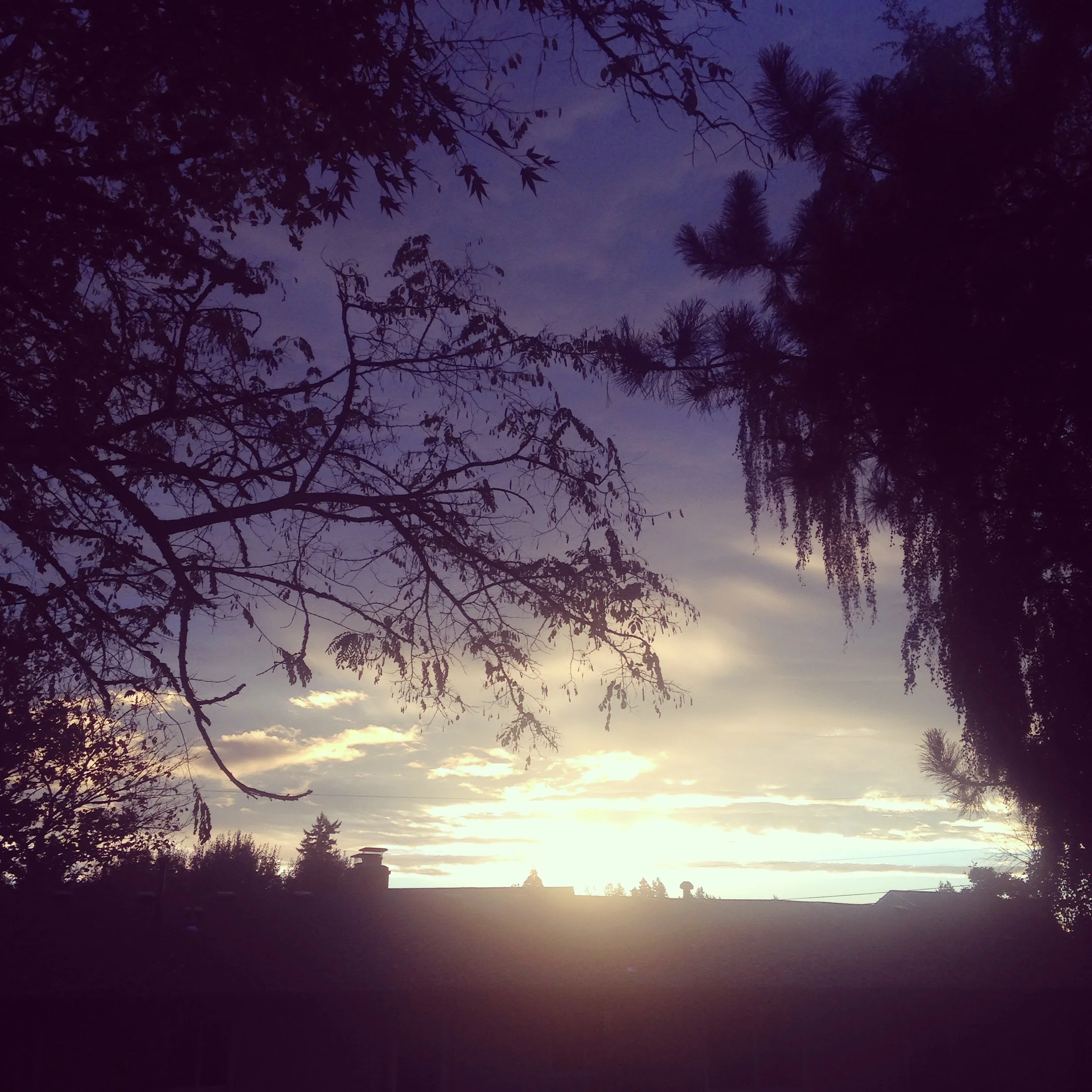 Looking forward to the new year and welcoming it like a beautiful sunrise.