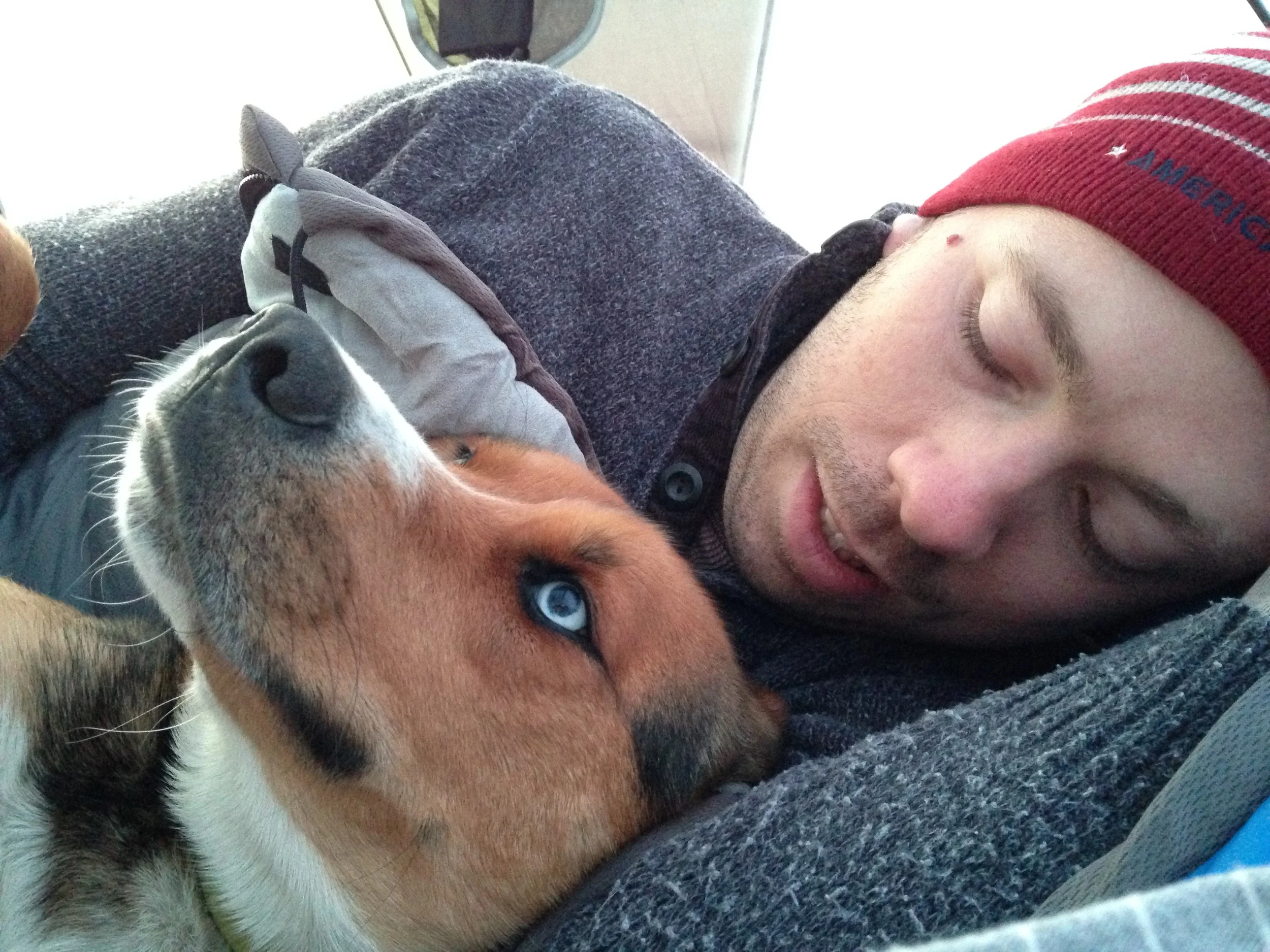 Zeus was shivering and begging for cuddles that morning. How could we not?