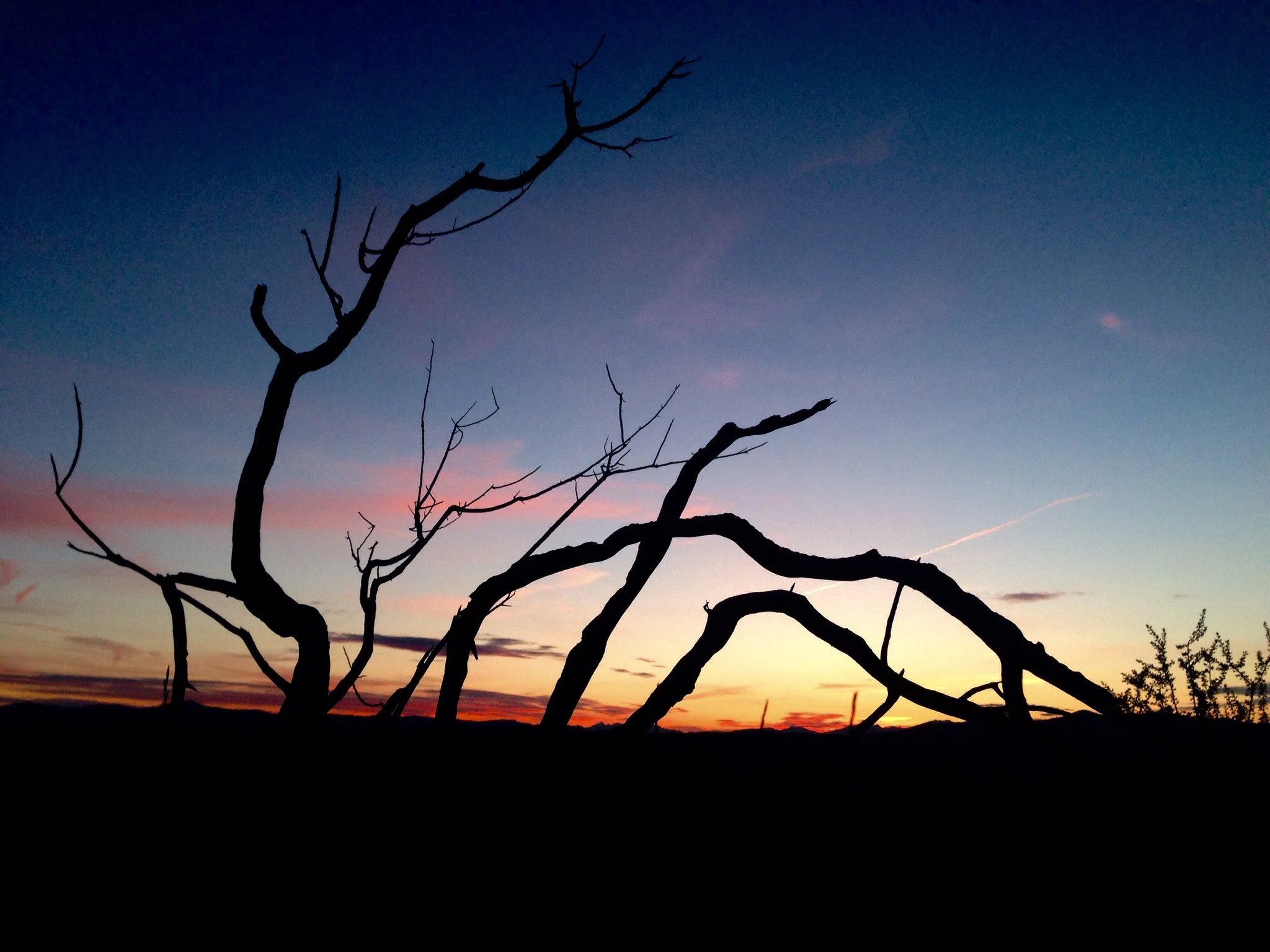 A solstice sunset, June 2014. Photo taken by Justin.
