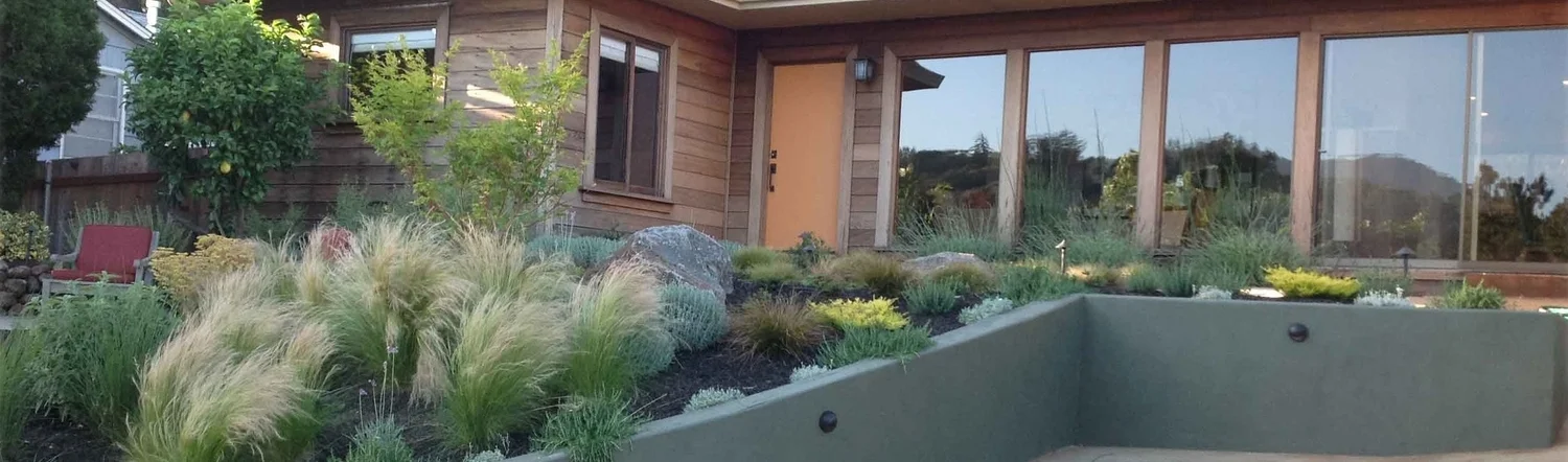 Marin Landscape Architect 18.jpg