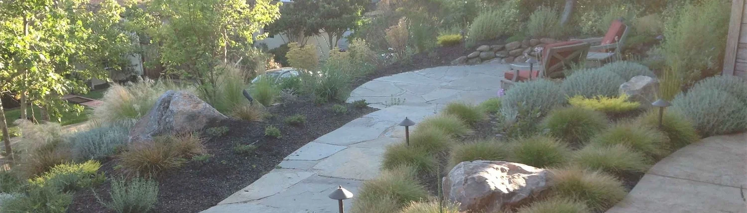Sausalito Landscape installer 18.jpg