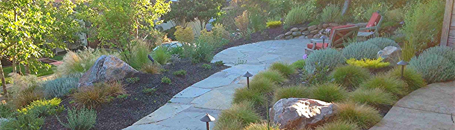 Sausalito Landscape installer 18.jpg