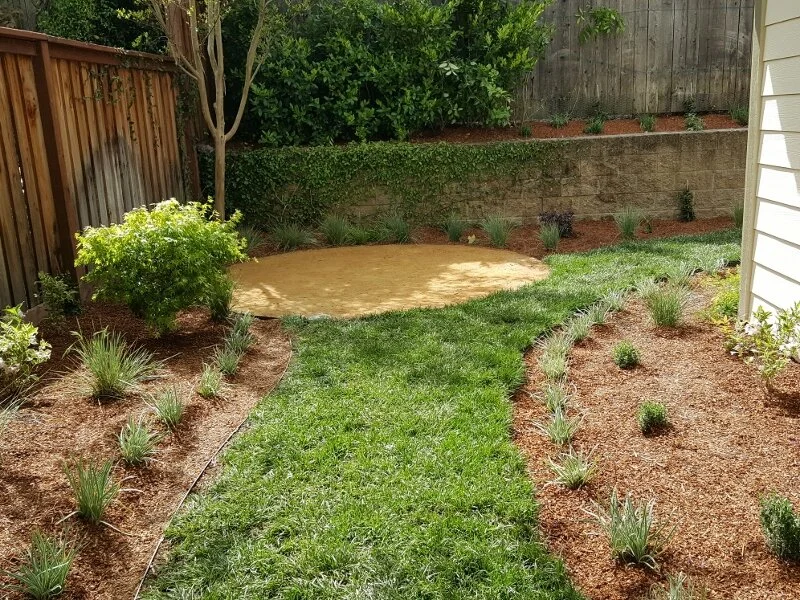 Novato Landscape Architect.jpg