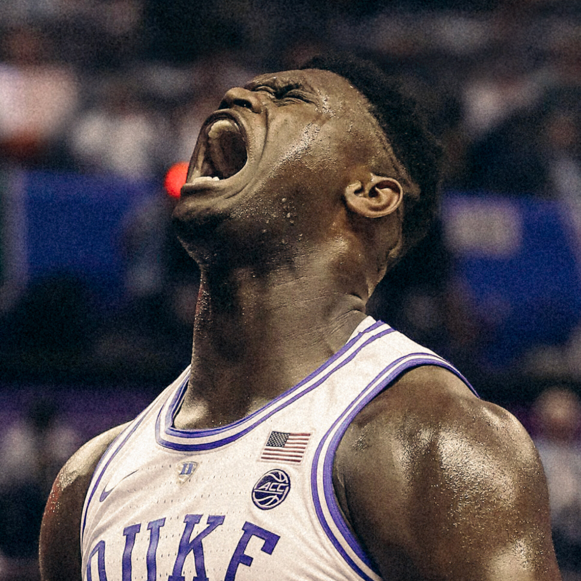 zion.jpg