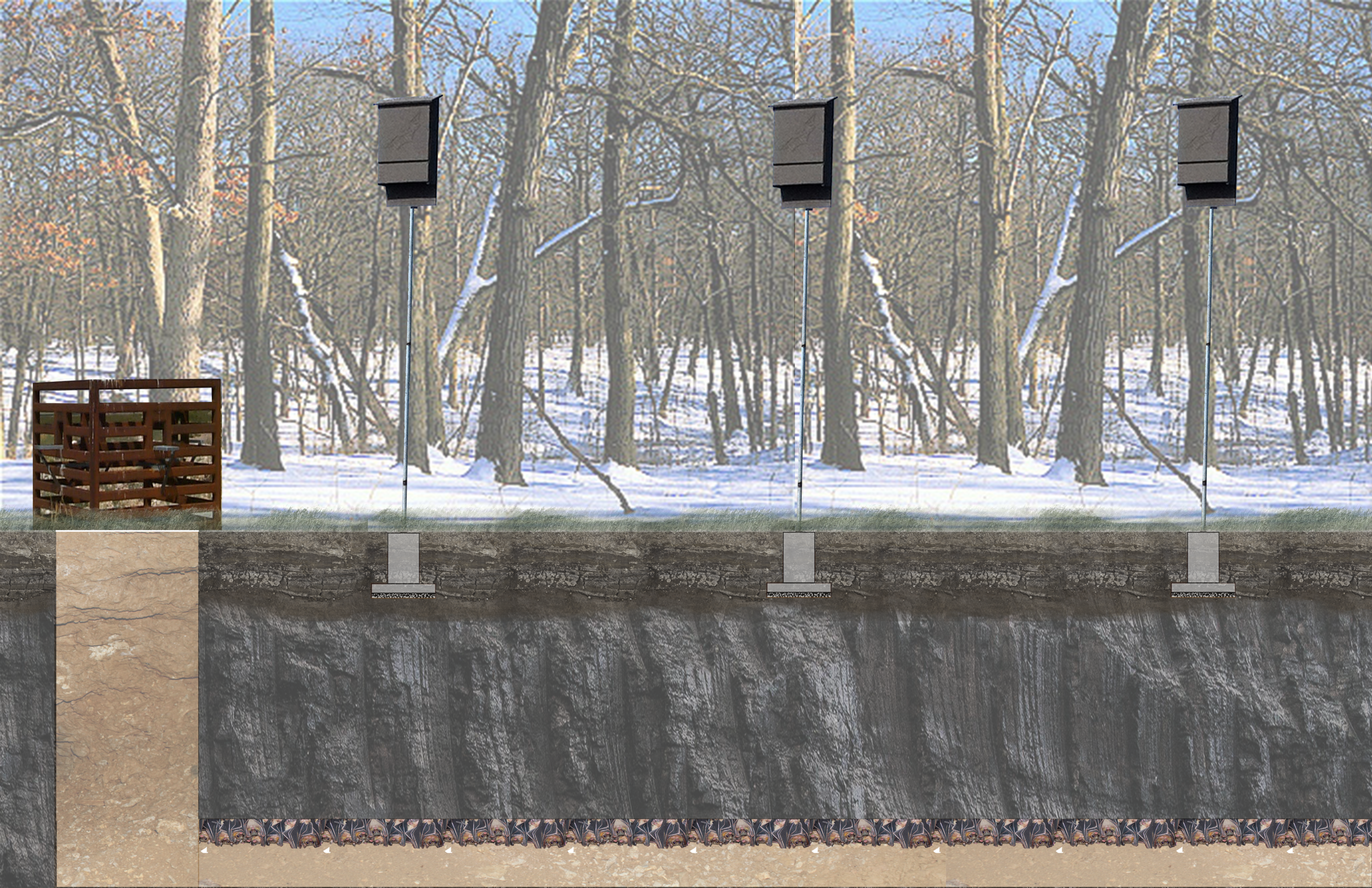 BAT_BOX_PROSPECTIVE_WINTER ati.png
