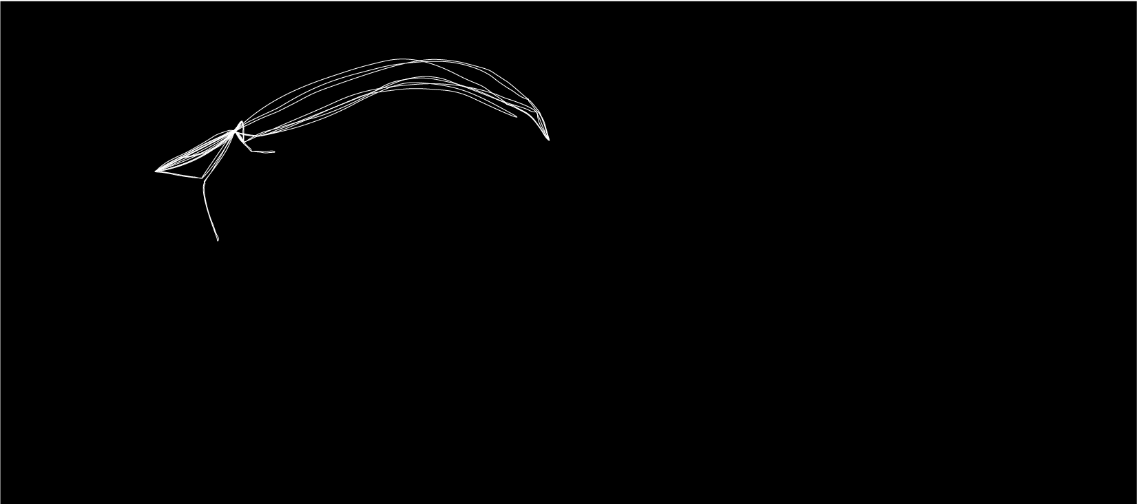 2004-01.png