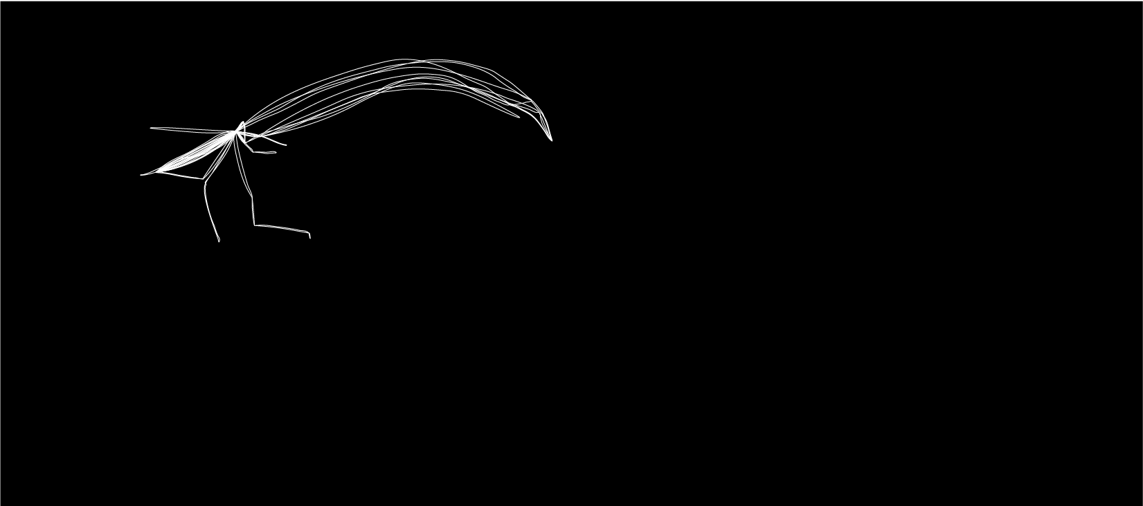 2006-01.png