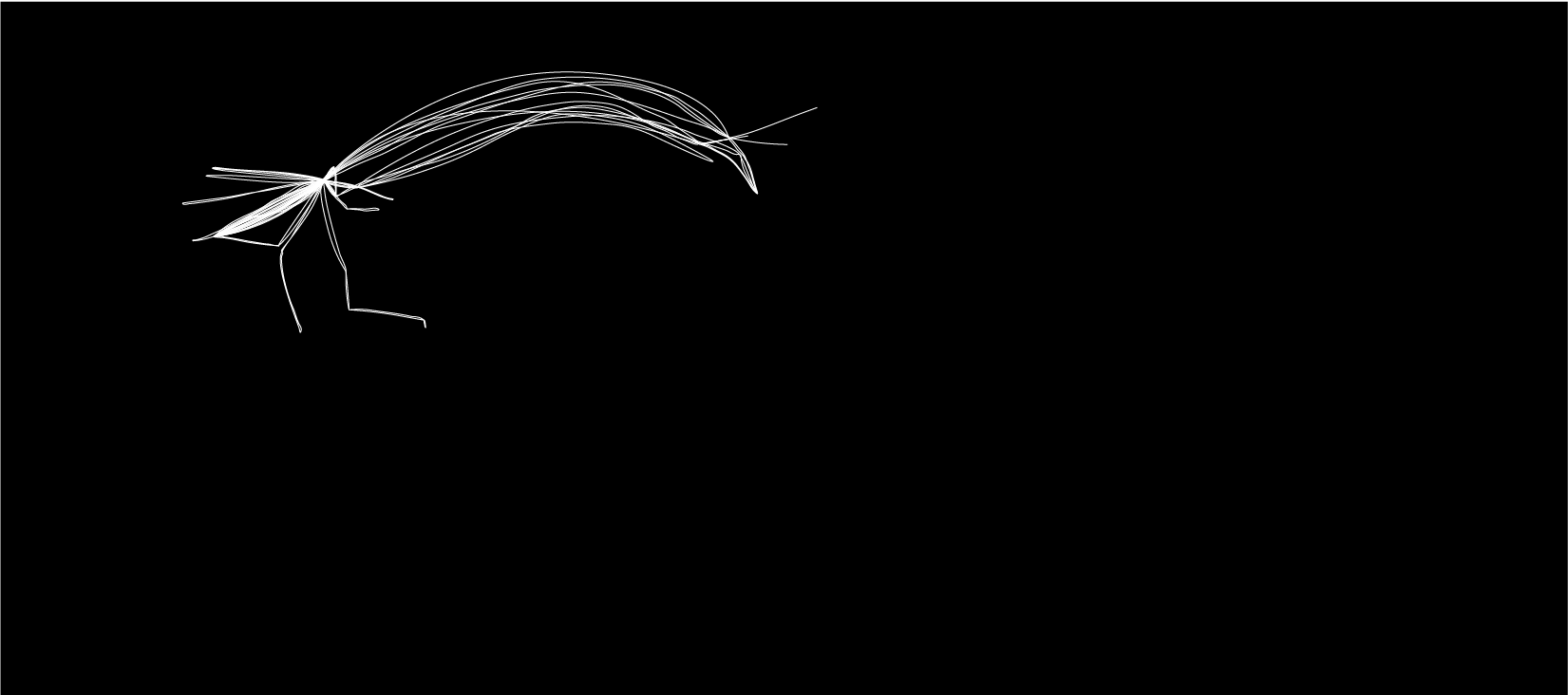 2007-01.png
