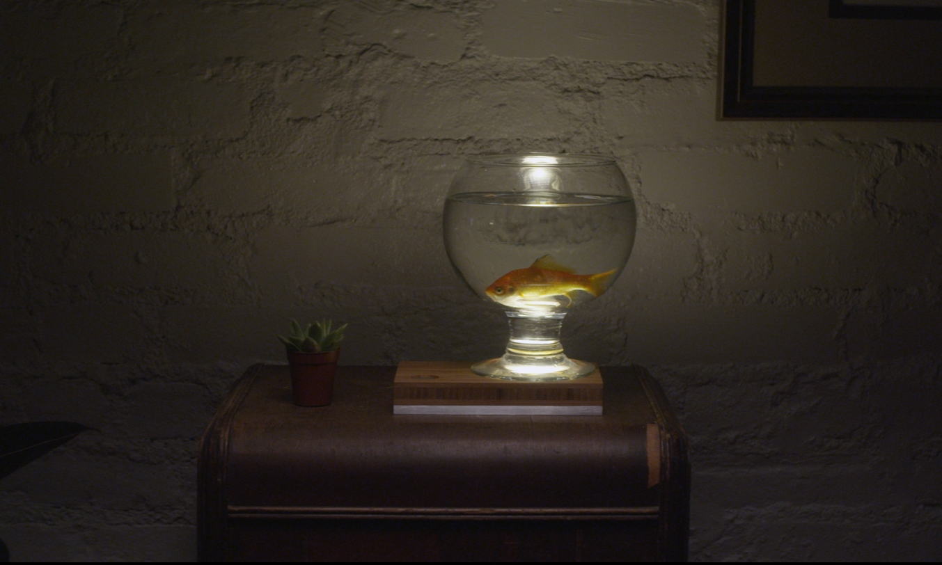 Baselamp+Fishbowl.jpeg