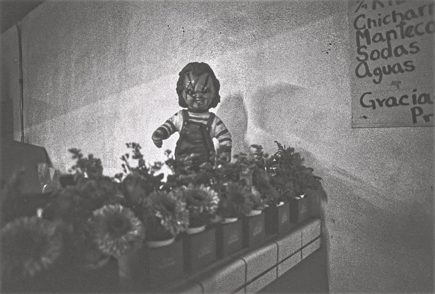 670648115_18577246369038421_3455253802861821170_n.jpg