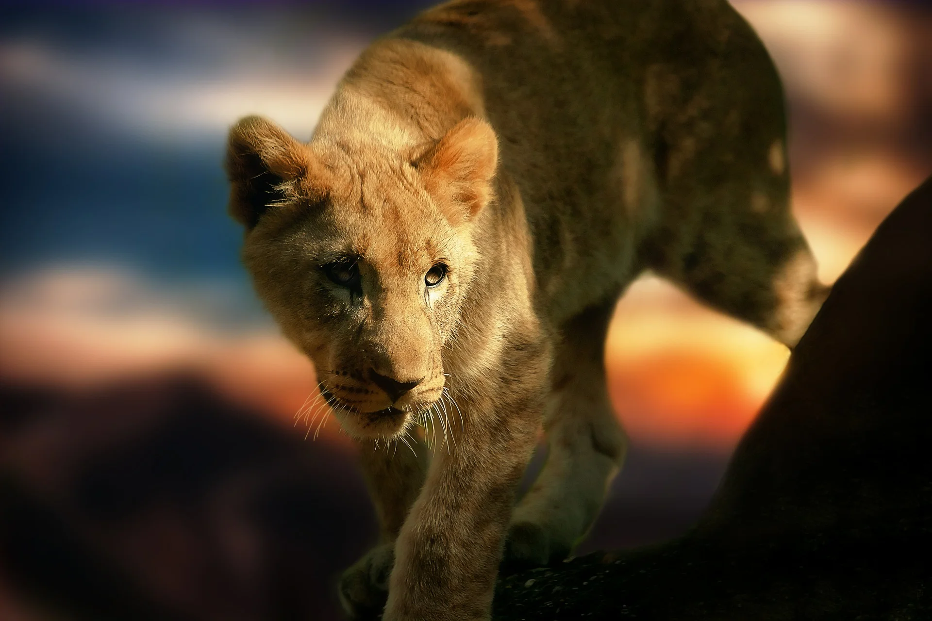 Sounds of Africa