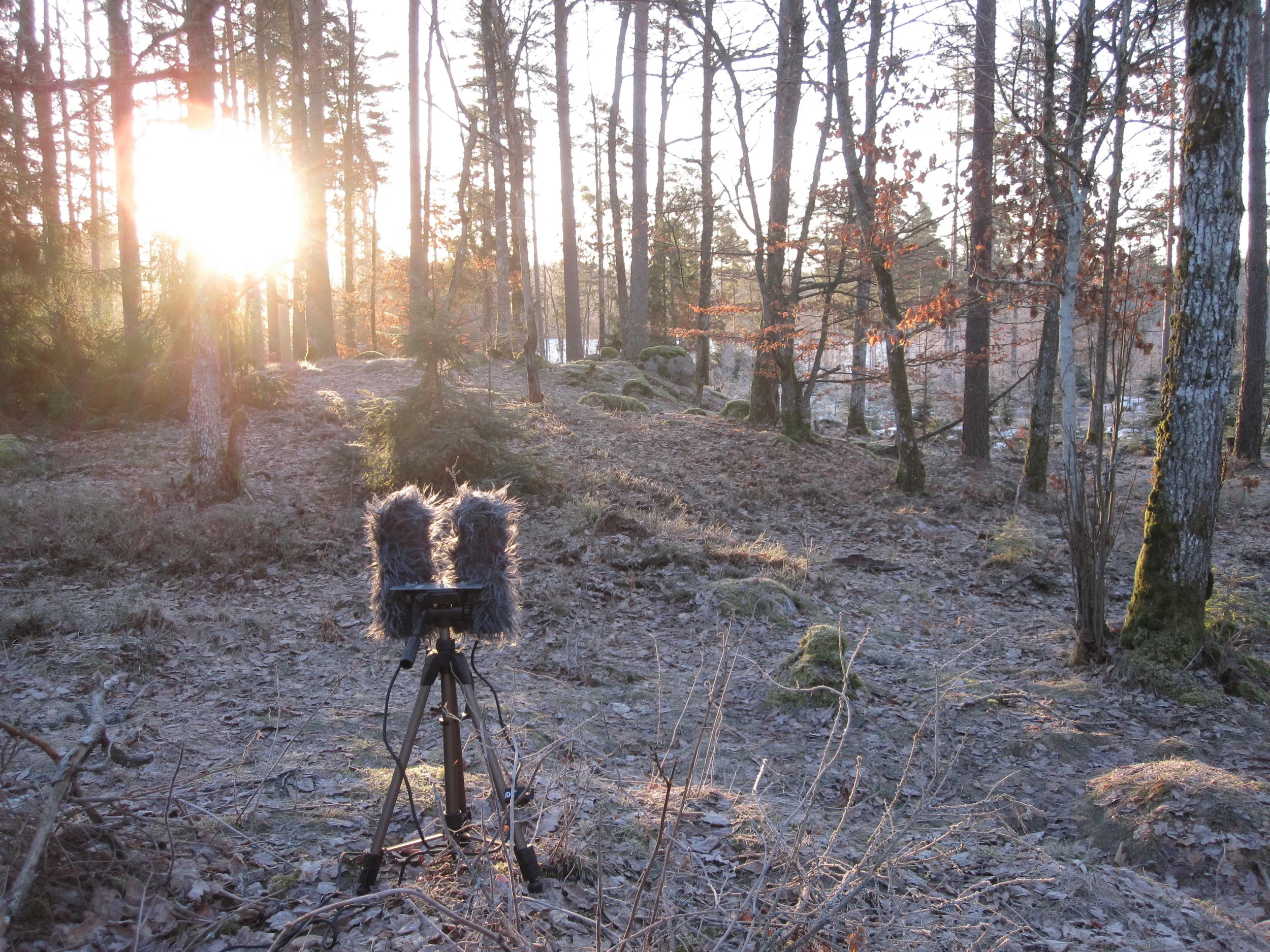 Sound Effects Gathering: A Field Recording Guide