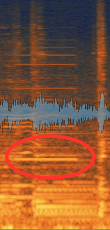 Screen Shot 2018-09-24 at 2.21.06 PM.png