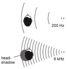 Here is a visualization of how high and low frequencies are impacted by the head.