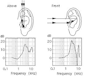 See how the pinna acts as a “filter” for high frequencies arriving laterally versus elevated.