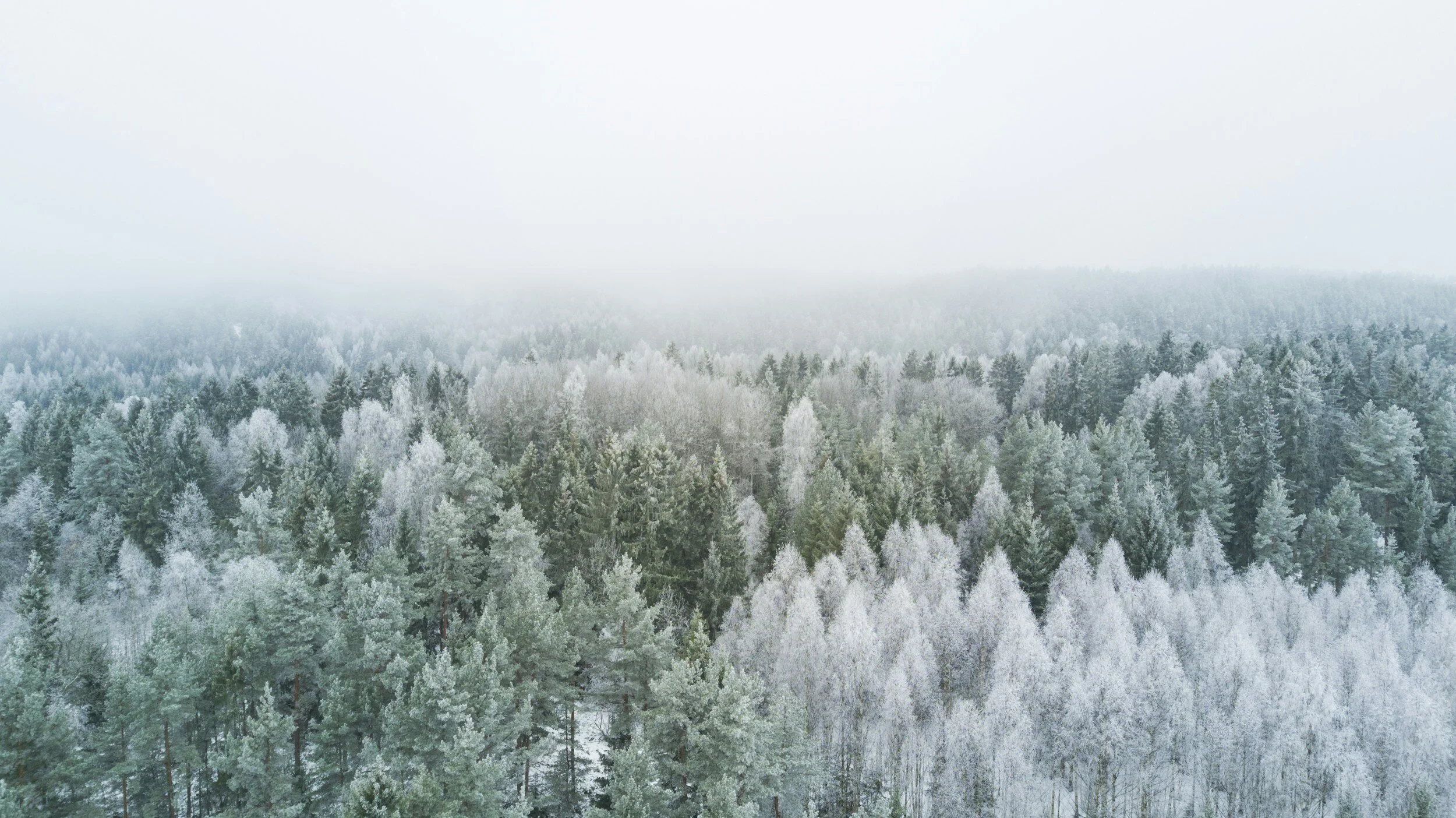 Sounds Like Winter