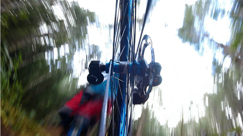 Figure 3 (shot by Kyle Camerer)