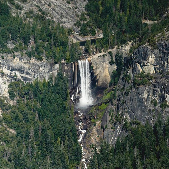 More pics from Yosemite stop.