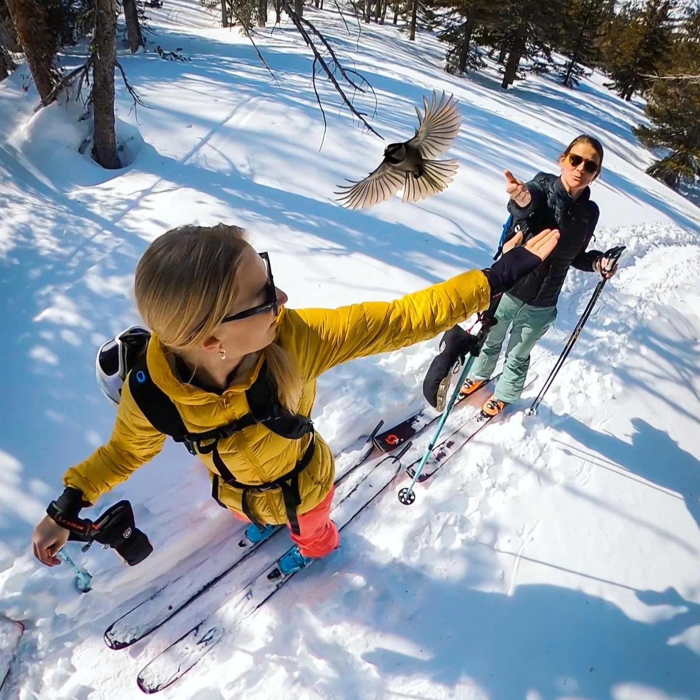 Major bird action out there today. @meredithtruettner @larsenmcdowell @gopro @gopromx #gopromax