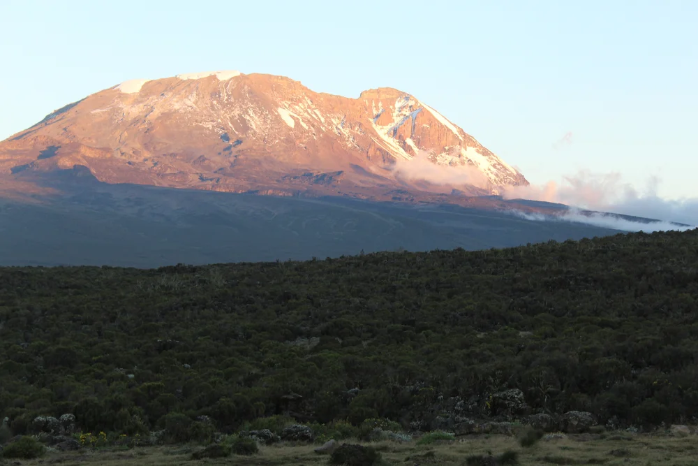 Kilimanjaro Climb & Safari CME — Wild Med Adventures