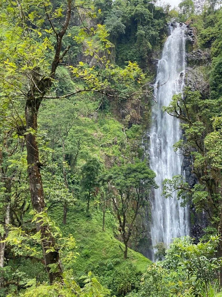 17e6b7a7-6b24-4102-8c87-dd7ca81d1b0b 2.JPG