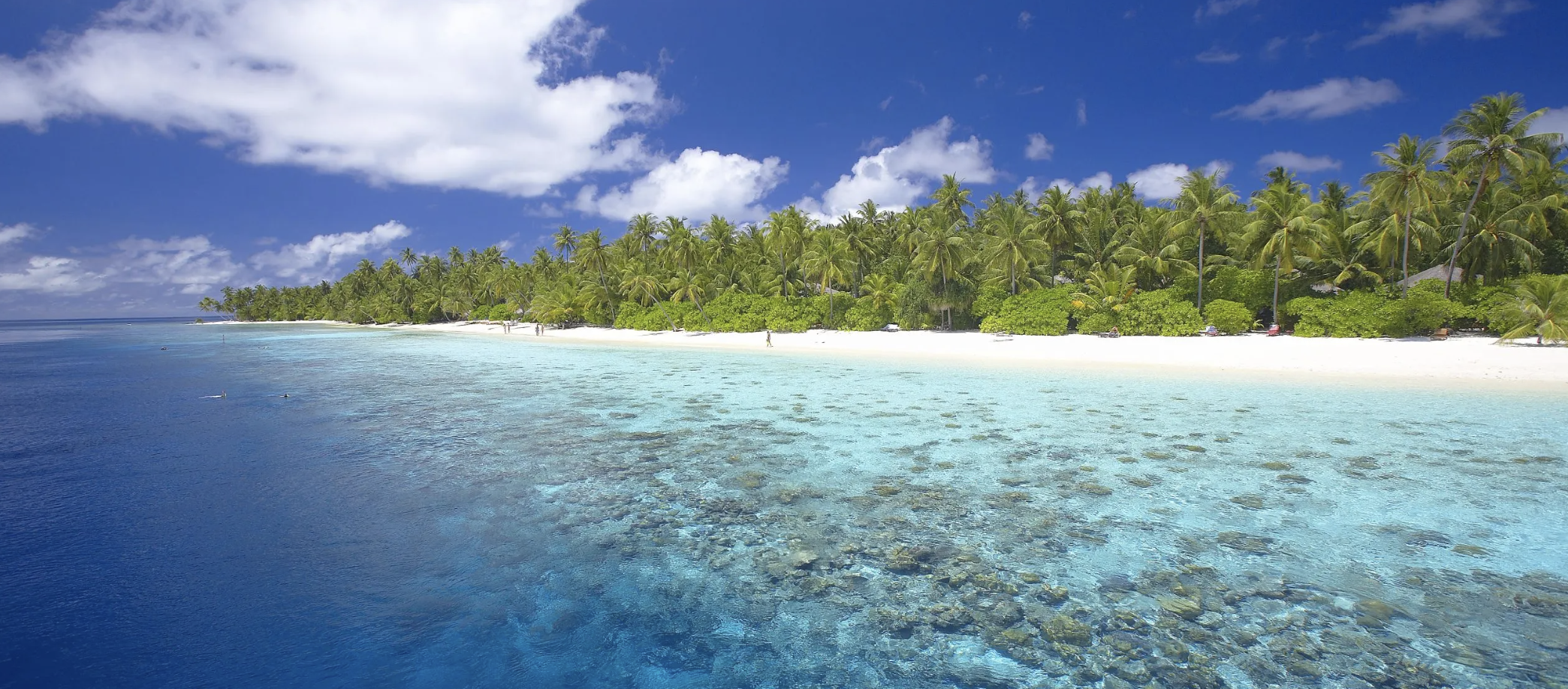 Screen Shot 2026-01-02 at 8.19.50 PM.png