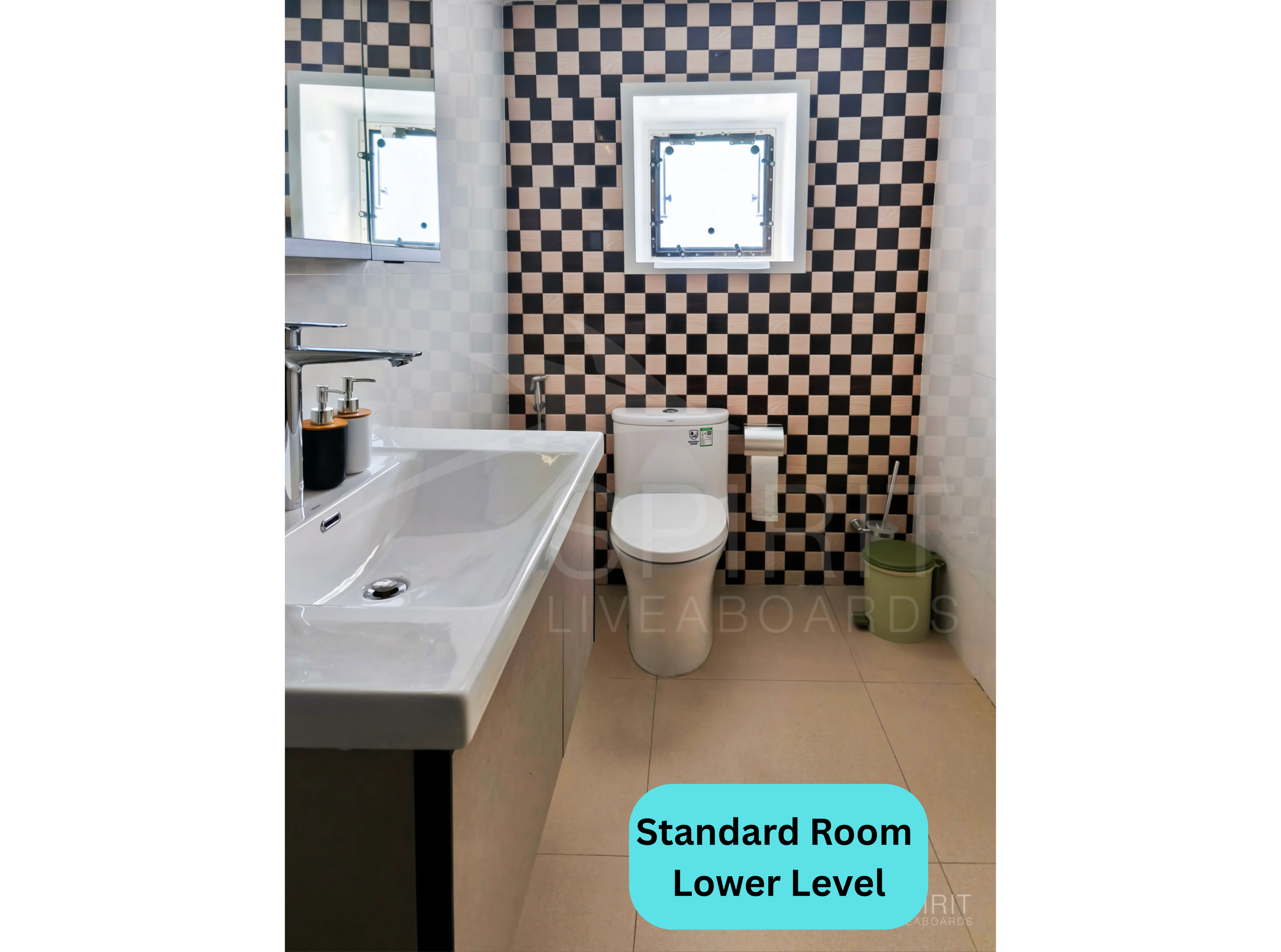 Standard Room Lower Level (2).png